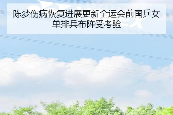 陈梦伤病恢复进展更新全运会前国乒女单排兵布阵受考验